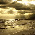 Playa De Oro